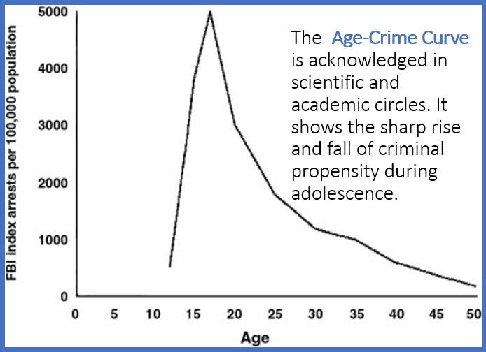 graph showing the age-crime impact on coming of age in prison.