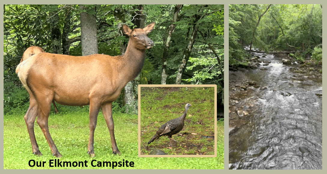 Elkmont Camp Site