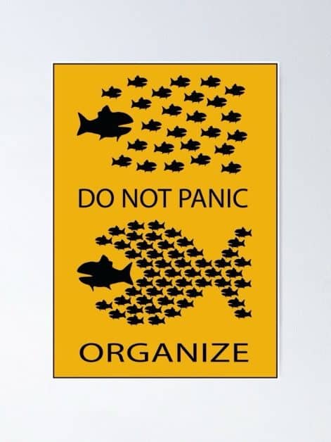 Cyber Psalm says do not panic, organize